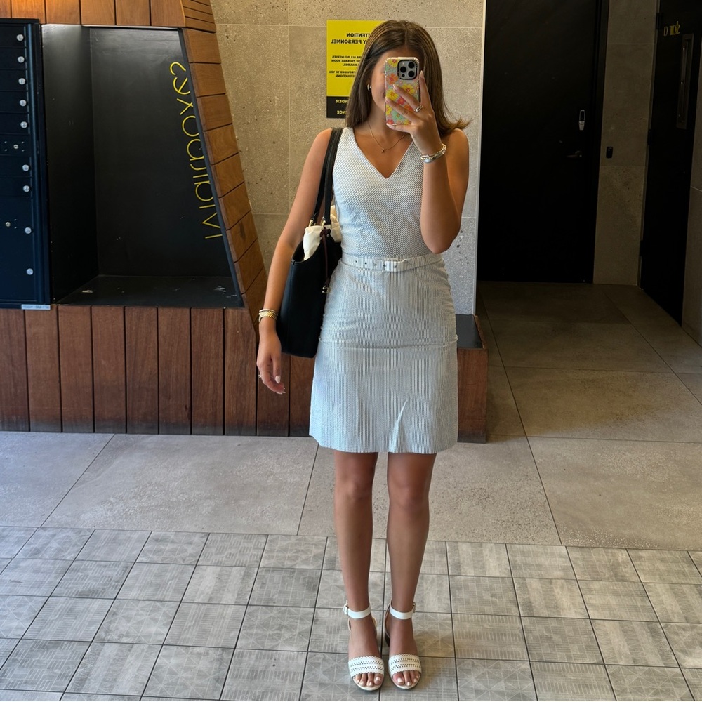 Blue & White Pinstripe  Work Dress
